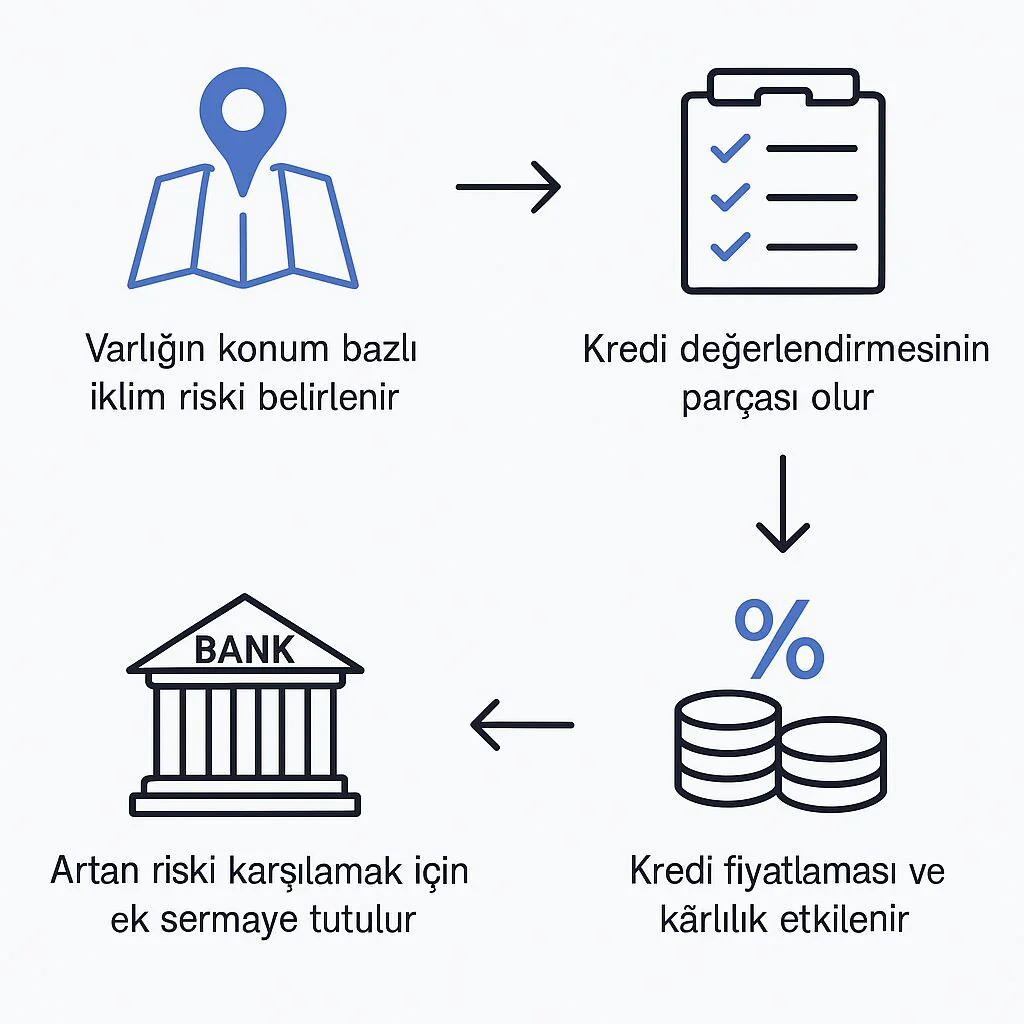 climate risks - Physical Climate Risk for Banks: The Hidden Capital Trap
